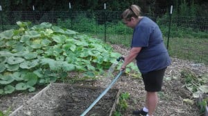 Chasity fall planting