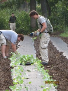 Nicole, in the background punching the holes for the plants.
