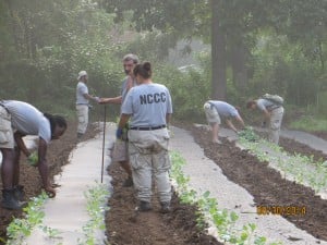 Many hands make light work.