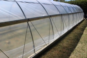 Here is the "brace" for the curtains.