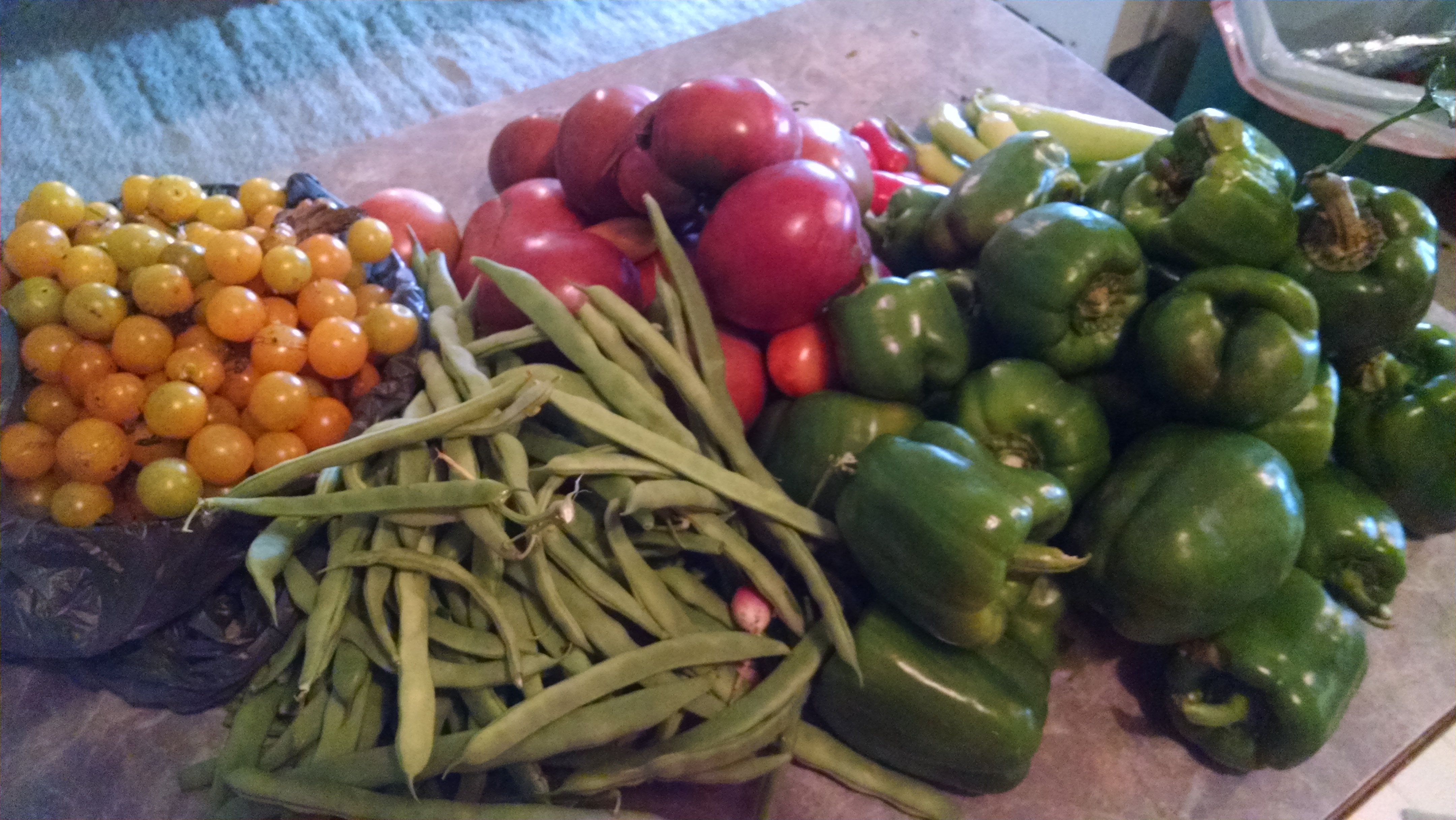 August Harvest ~ Grow Appalachia