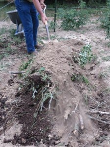 Permaculture 7-18 (8)