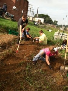 Preparing for Fall Brassicas 6