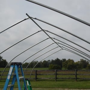 The first ridge pole now in place!