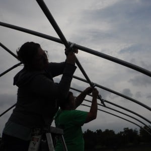 The purlins are in place; now the pole is being put into place