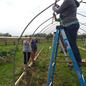 Double tasks: purlin fastening at the foreground and framing attachment in the background
