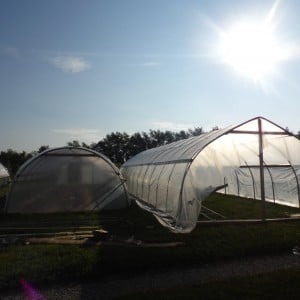 The sun shines bright on our tunnels!