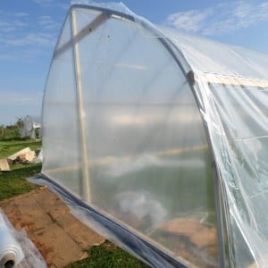 The back sheet of plastic in place. This can be removed during the summer, if desired.