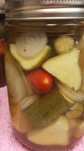 pickled squash