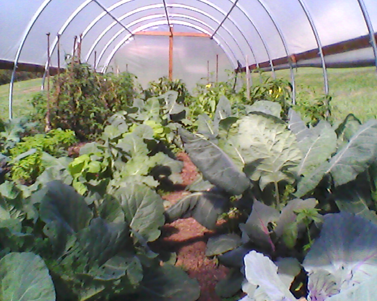 1981-01-22 04.48.36 ~ Grow Appalachia