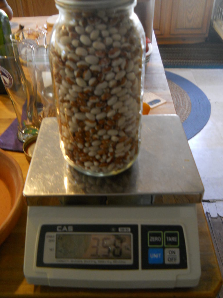 Hidatsa Beans! Grow Appalachia