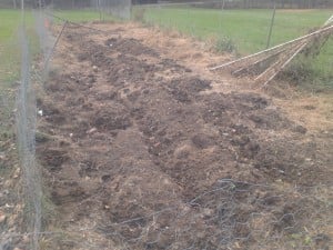 Teens' Potato Patch