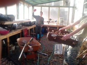 Storing in the Greenhouse