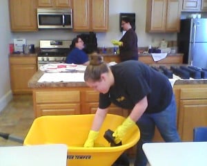 Lily sterilizing planting cells.