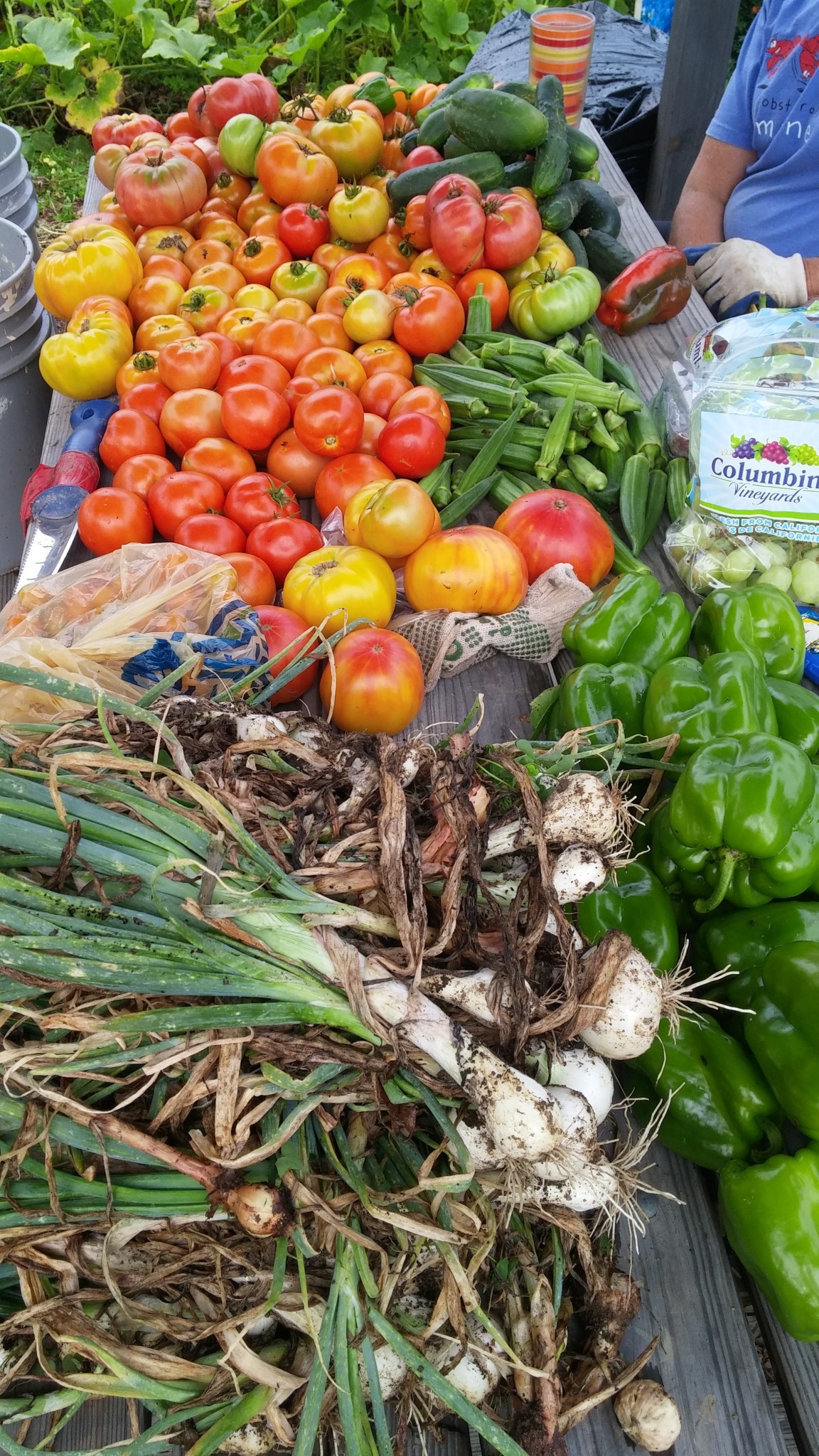 Summer Harvest Grow Appalachia