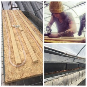 988885_10153187305799758_1395452209785556530_n (1)