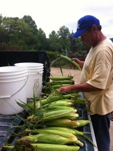 Looking forward to warmer days to come- Donnie with some of the sweet corn harvest last year.