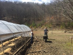 drain 3 eliz jer first drain