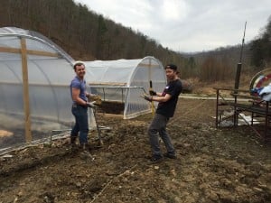 drain 4 dil david back drain