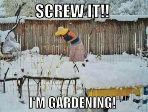 Life in West Virginia