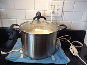 10419763_1426955387578622_548304527_n