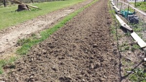 Future site of Hoop House