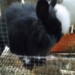 IMG_20150310_094052106