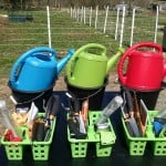 IMG_20150316_125413040