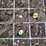 IMG_20150319_075528316