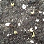 IMG_20150319_075640041