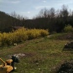 IMG_20150326_110207788