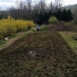 IMG_20150326_114845664