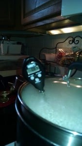 IMG_20150330_104731757