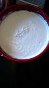 IMG_20150330_120554173