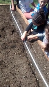 Kids at Boys & Girls Club seeding peas