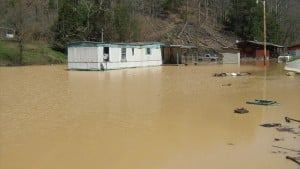 Neighbor surrounded 2IMG_0059