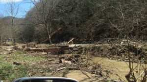 Neighbors bridge 3IMG_0051