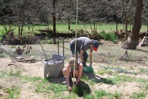 Resetting posts_0103