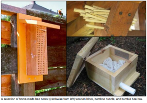 Photo taken from the Xerces Society publication "Nests for Native Bees"