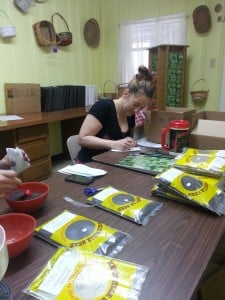 Sorting Seed 019