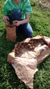 Tech GYRLS divy potatoes