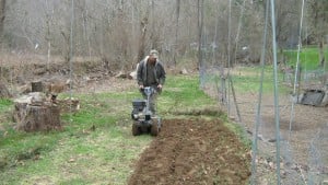 Tilling the garden a few days before the flood (later covered by sand)