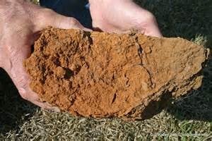 clay soil