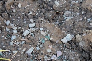 rocky soil