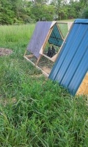 20150515_181856