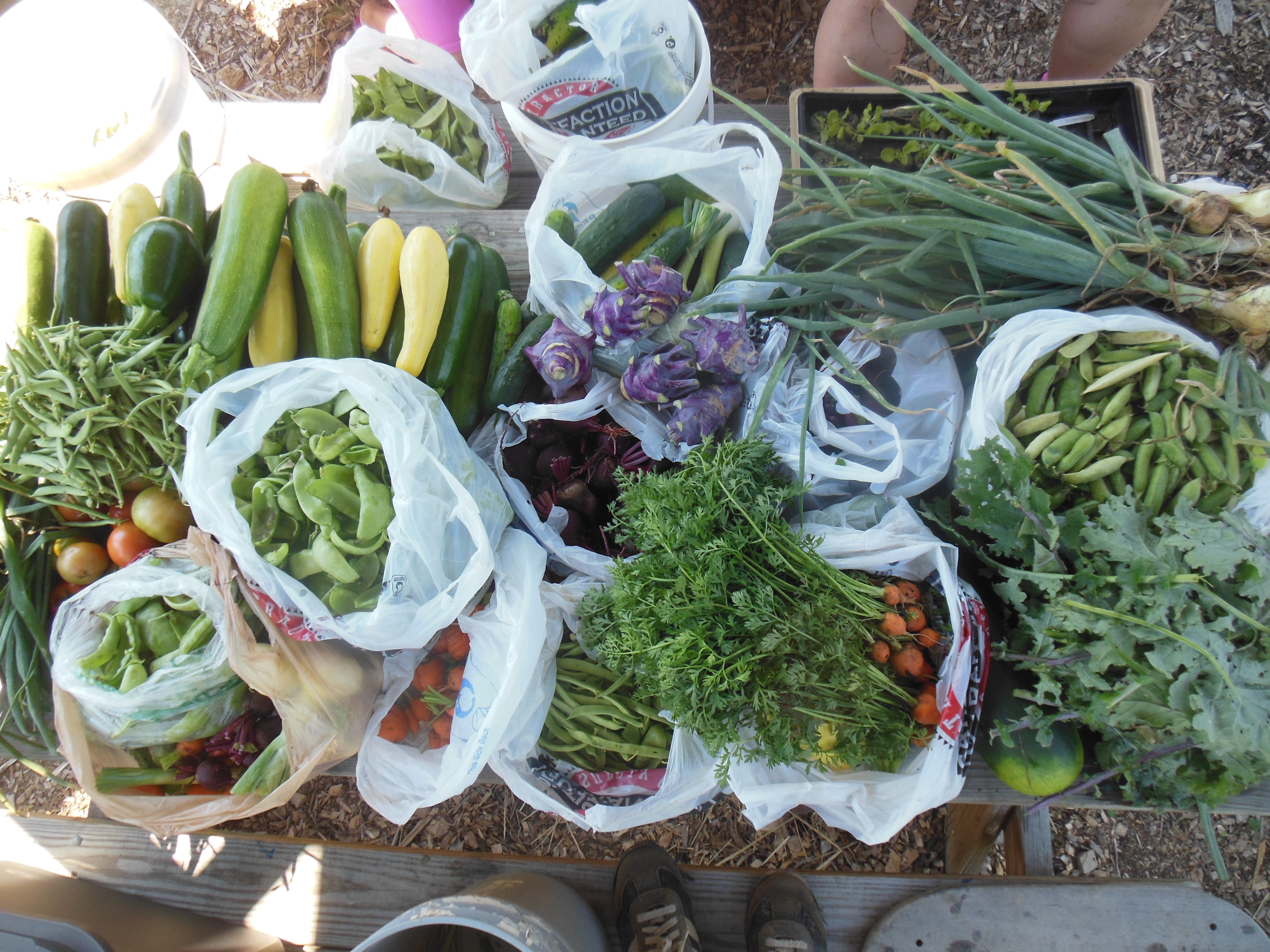 Defining A Equitable Food Distribution System ~ Grow Appalachia