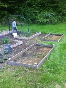 We just built two new raised beds and hope to have them filled with soil and compost soon.