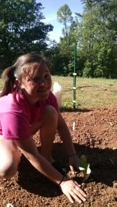 IMG_20150513_165027949