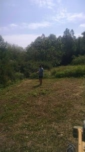 IMG_20150515_110242371