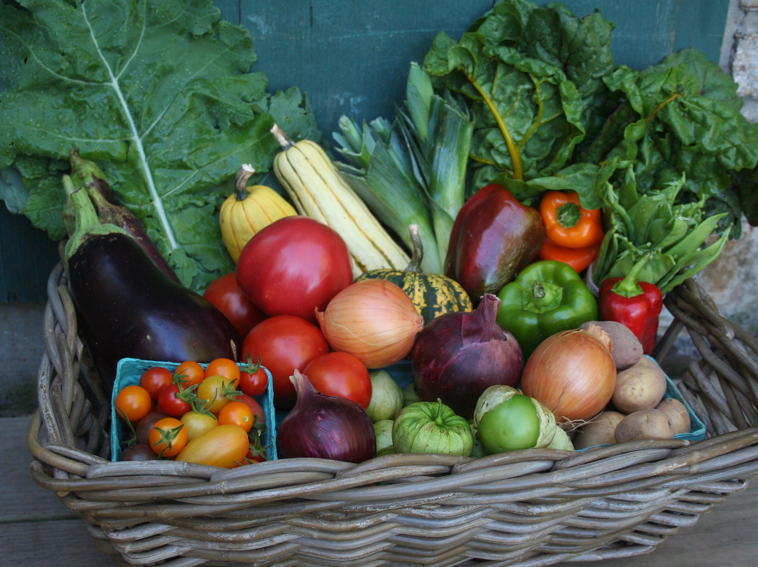 Summer Vegetables Grow Appalachia